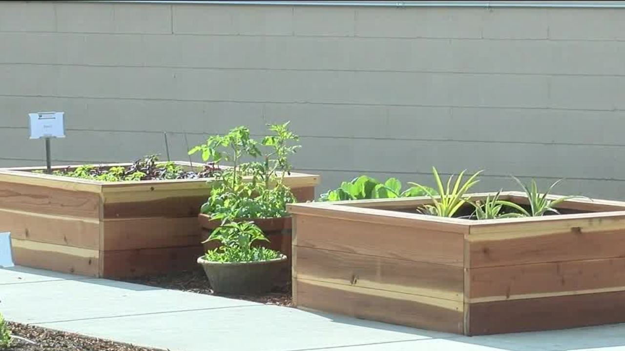 BC Edible Education Garden