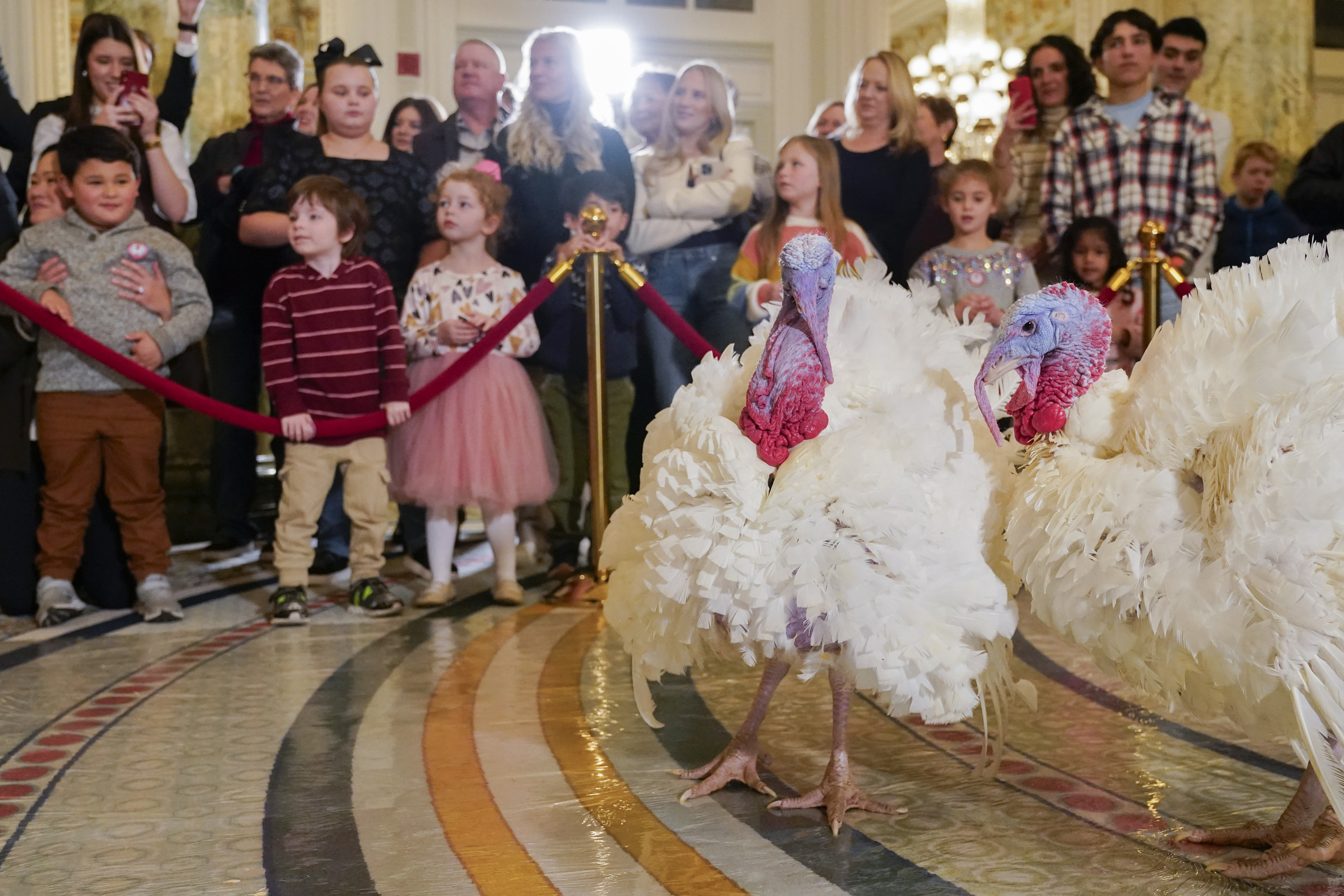 Biden Turkey Pardon