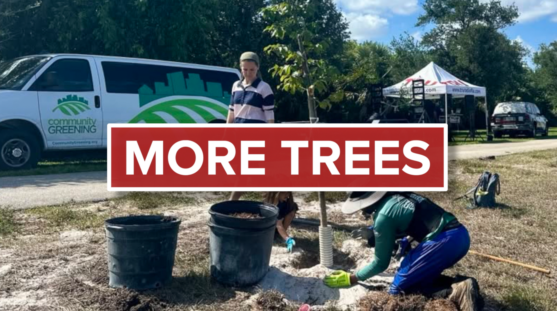 more trees community greening.png
