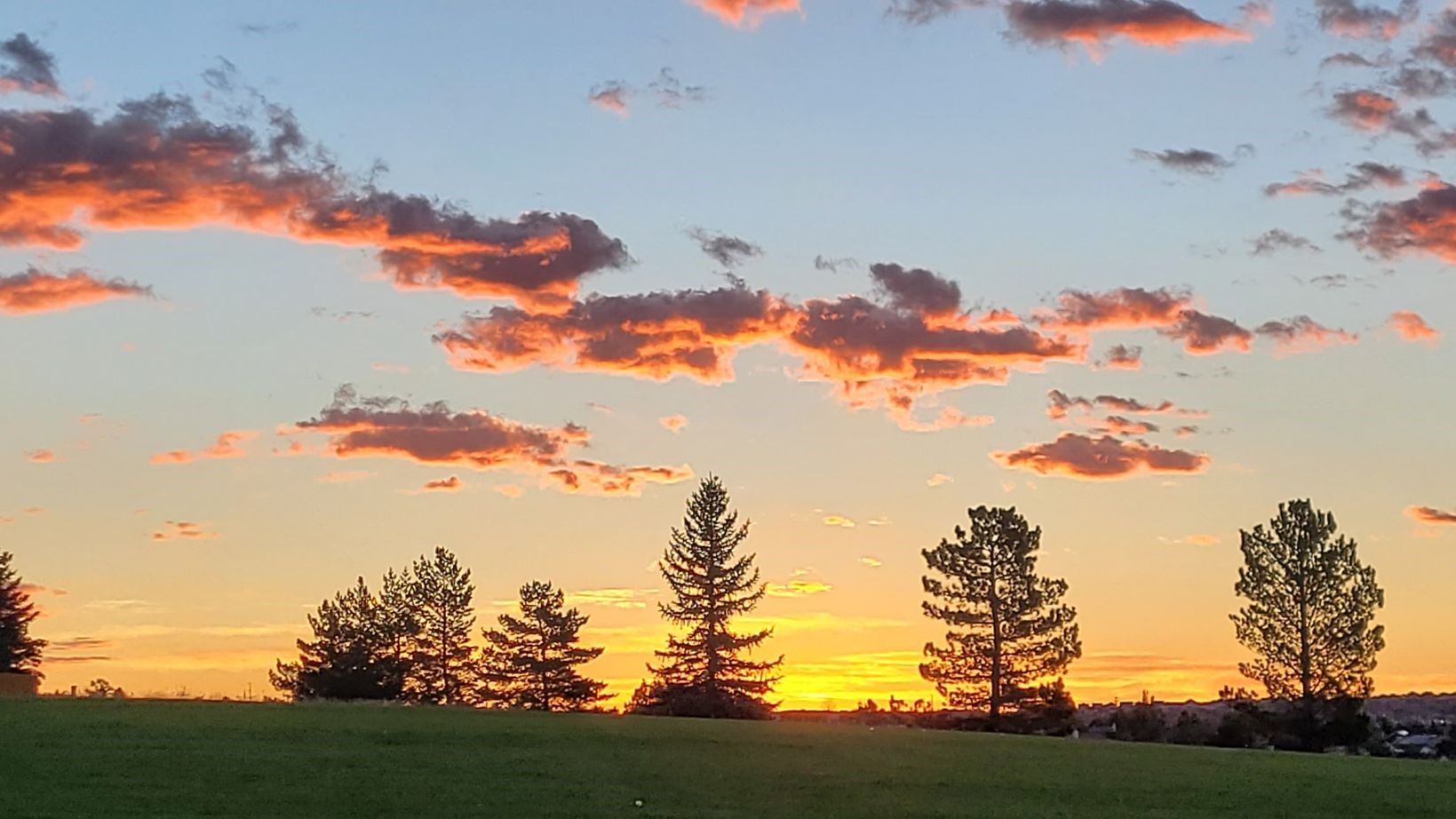 joshua maestas colorado springs