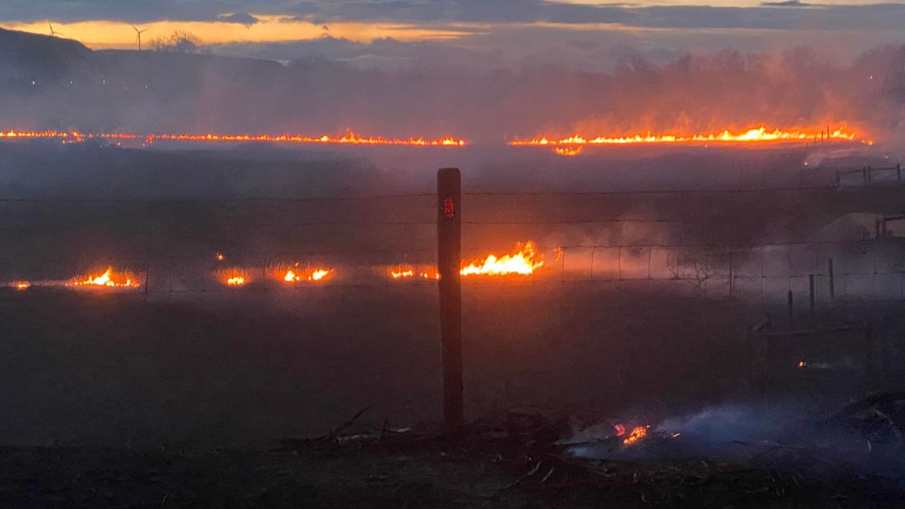 Crews responding to wildland fire near Wadsworth Park