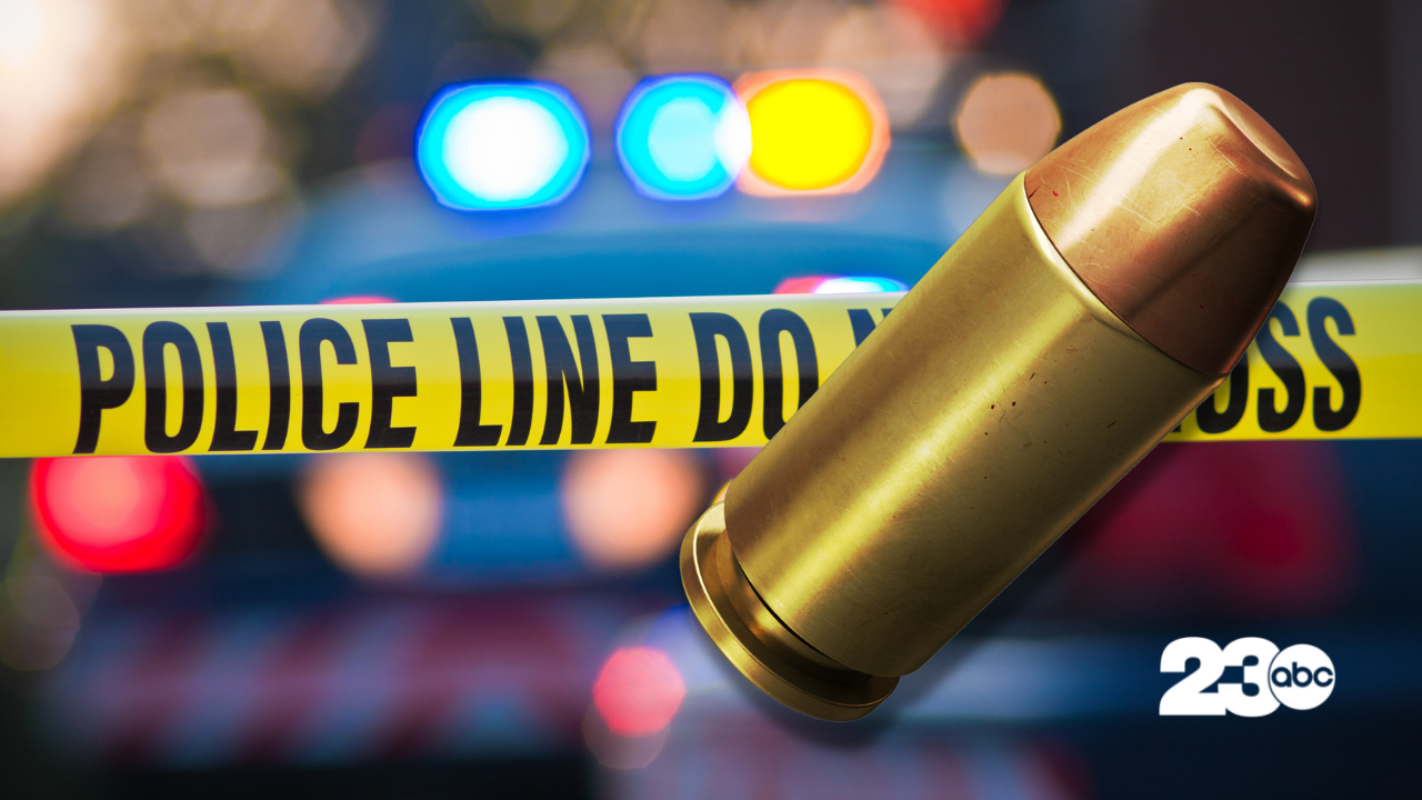 Police Shooting (FILE)