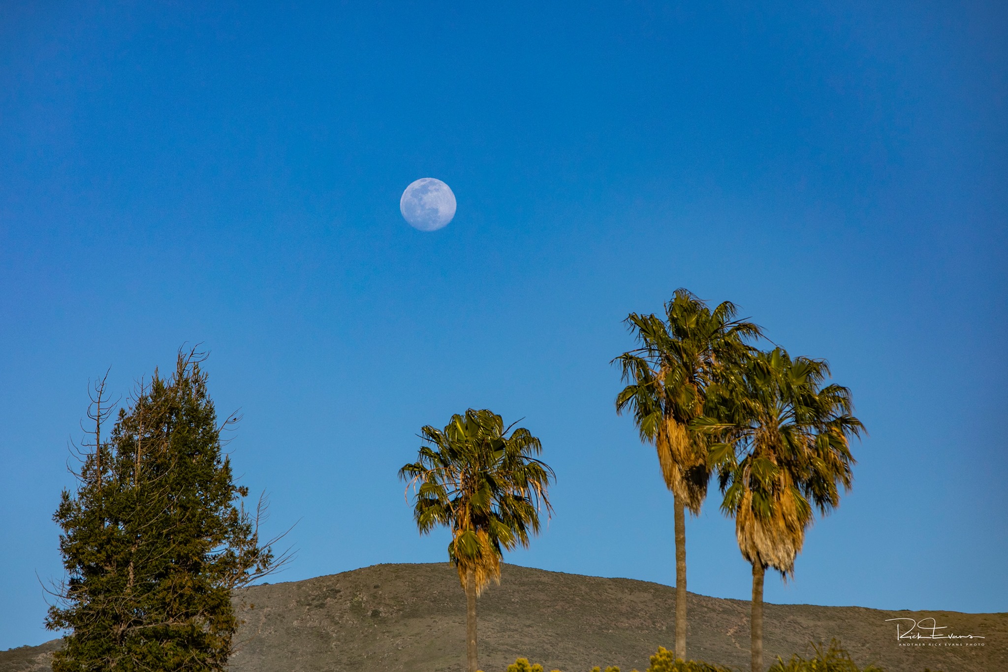 rick evan's photo of shell beach1.jpg