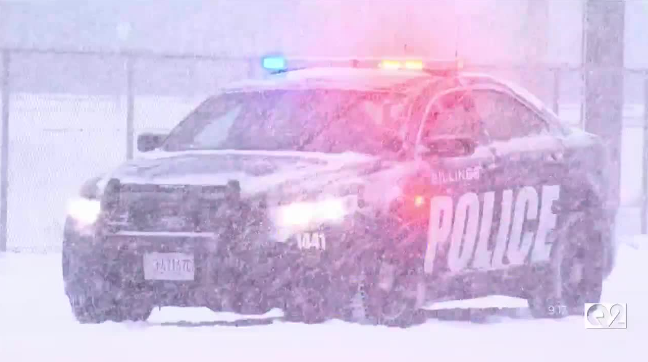 pdsnow.PNG