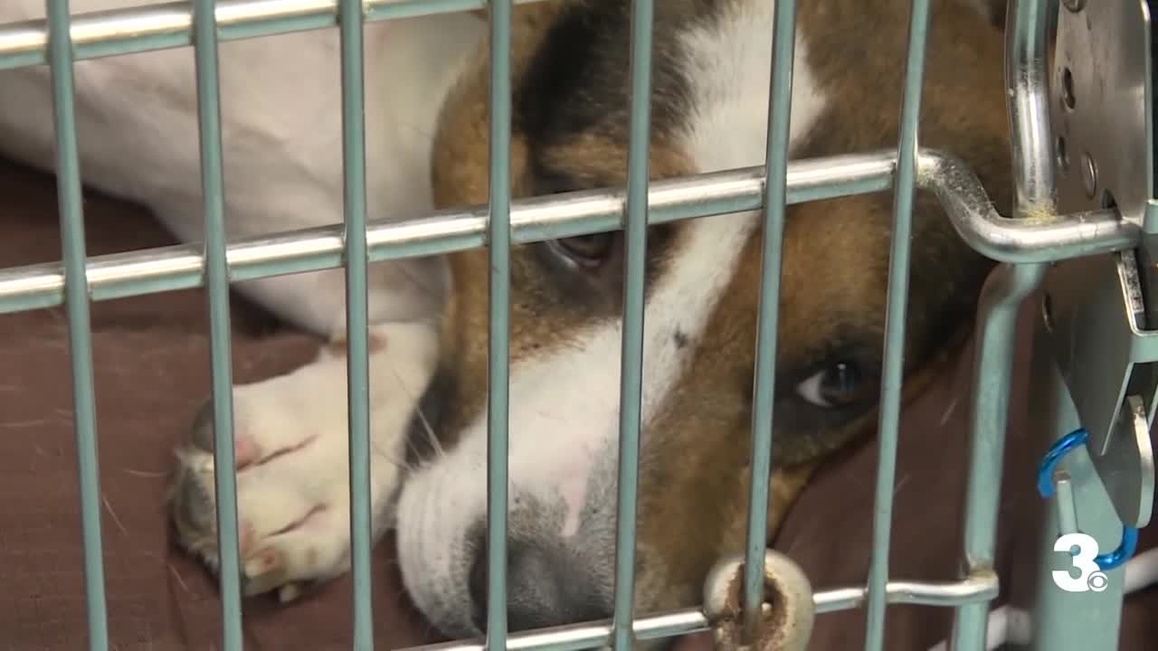 Portsmouth Humane Society