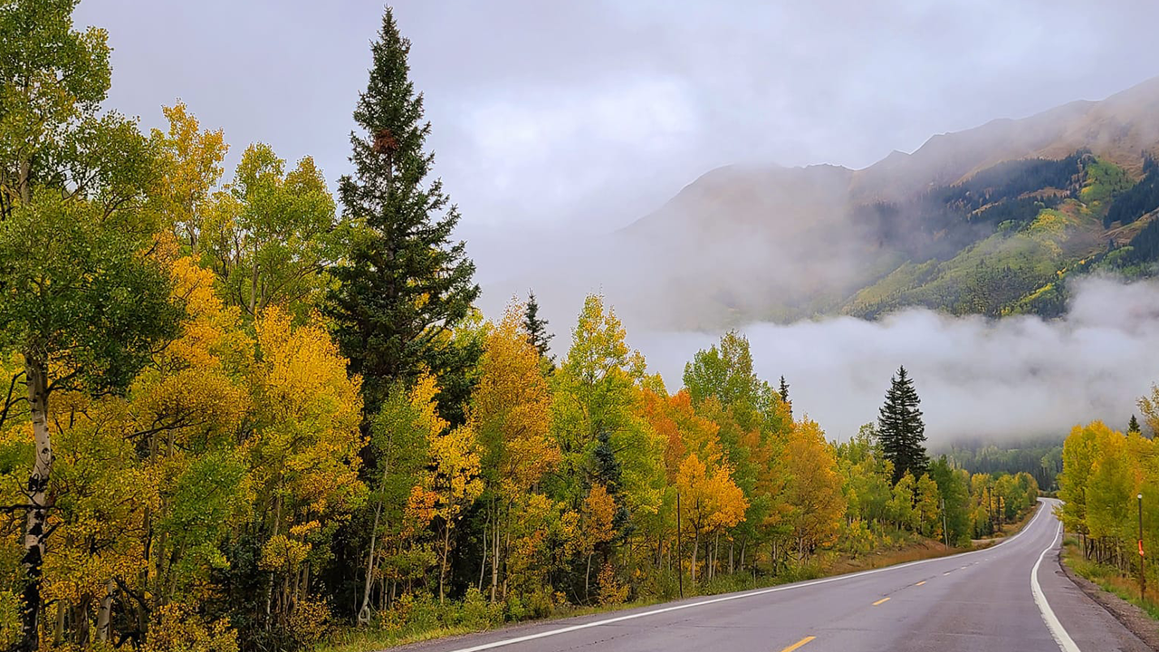 ouray.png