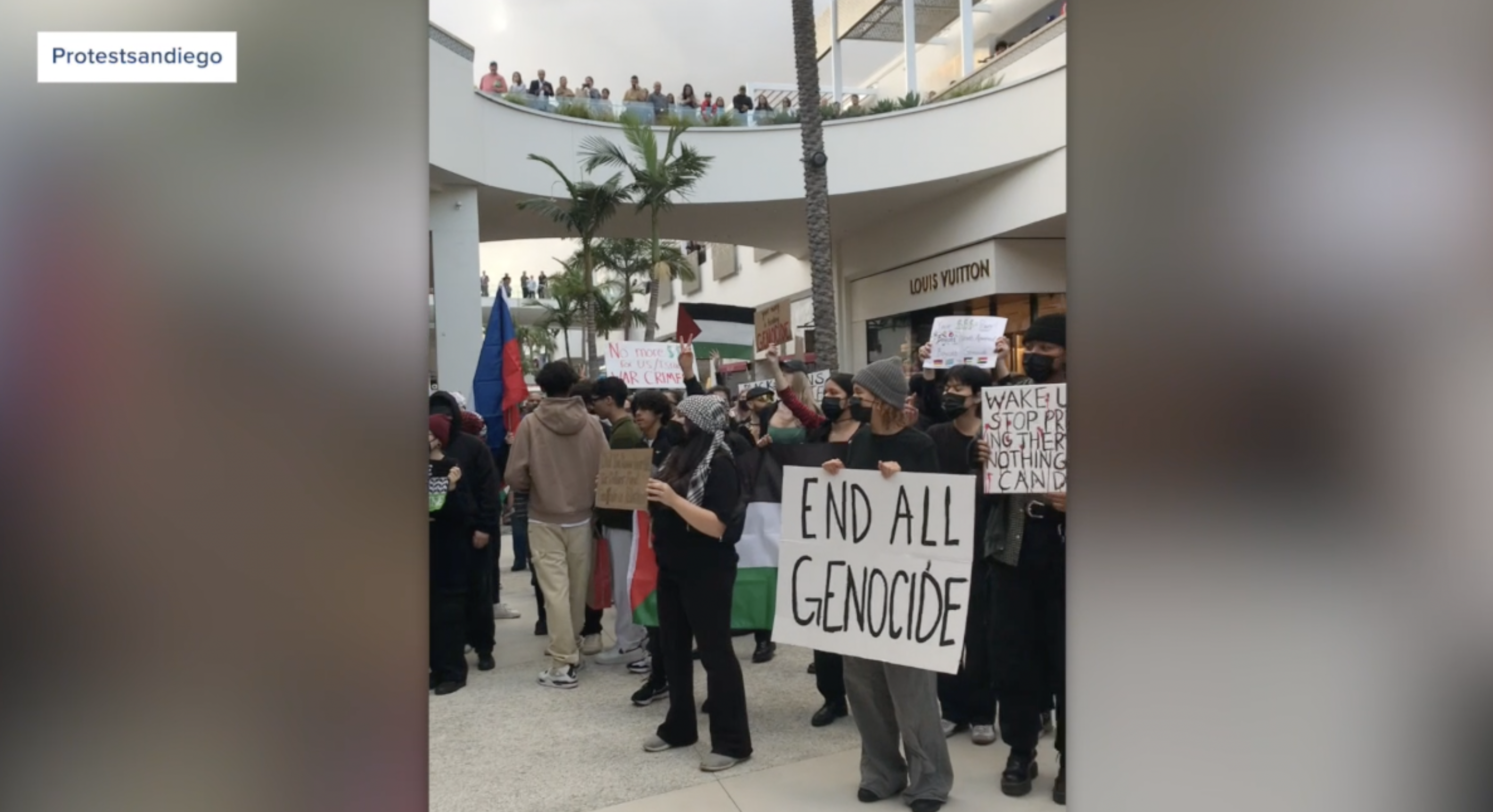 Pro-Palestine demonstrators boycott Black Friday