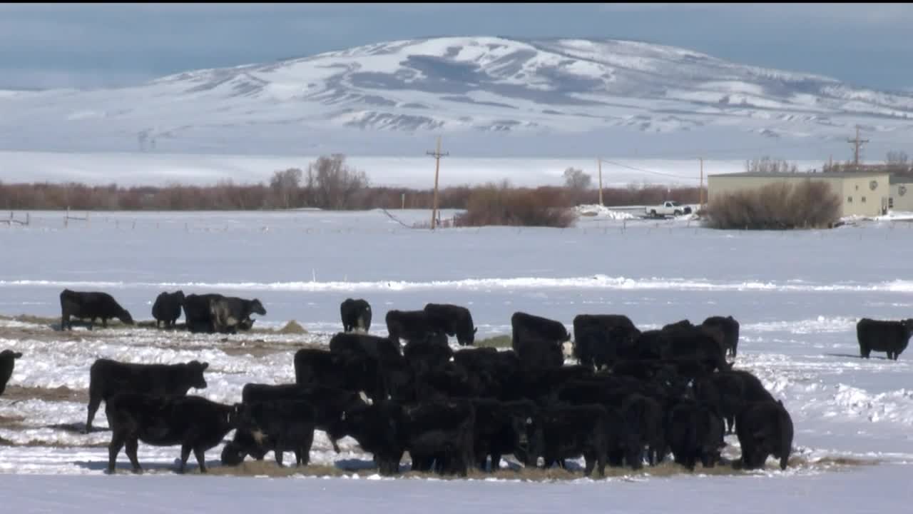 Poster image (80).jpg