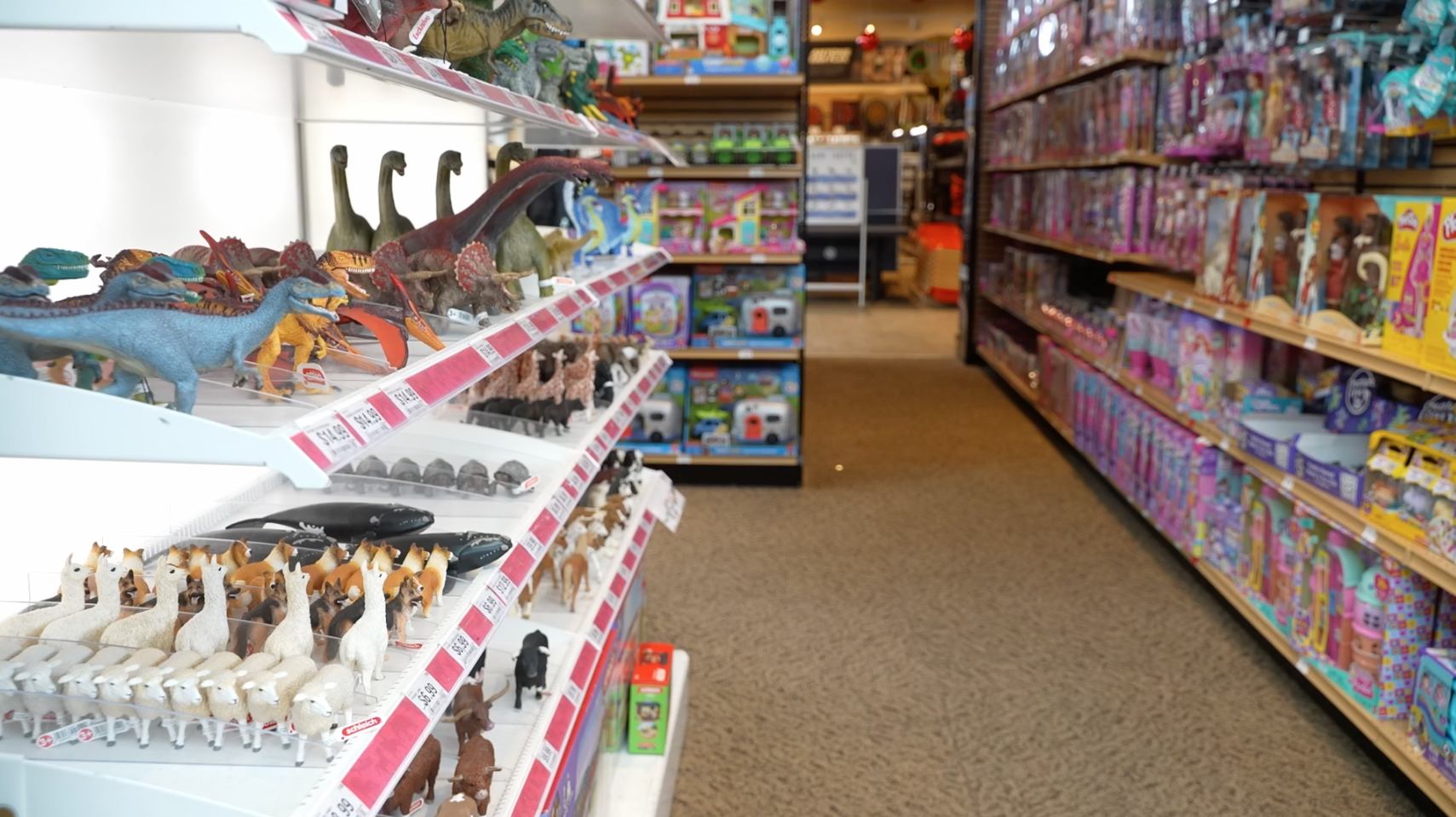 Scheels' toy section