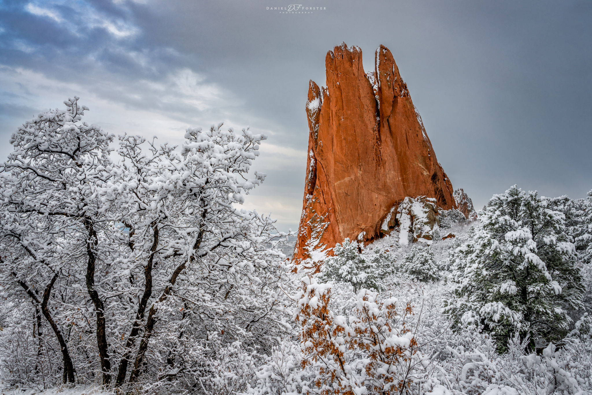 daniel forster garden of the gods