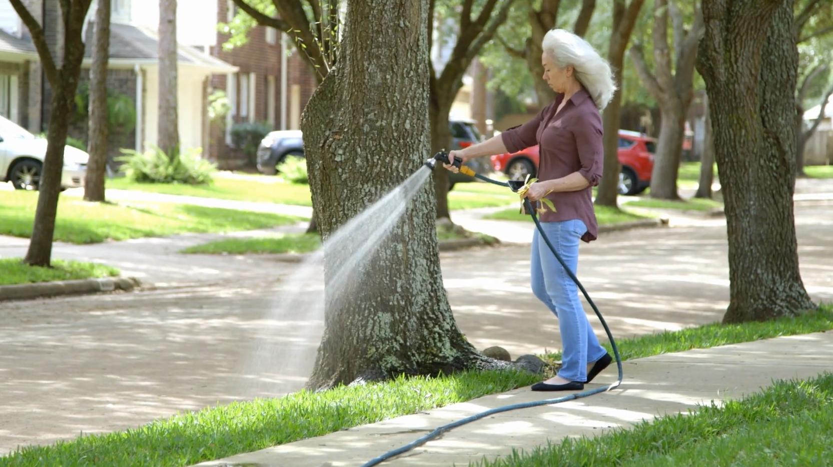woman watering trees