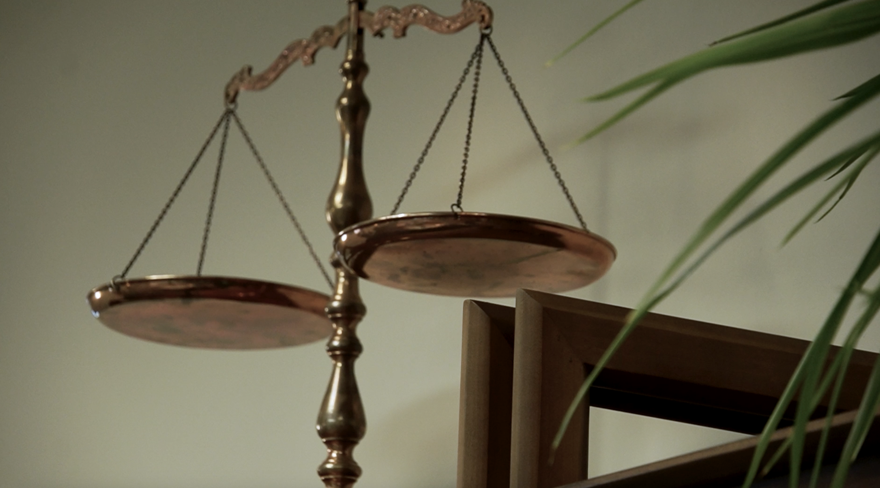 Putting the spotlight on prosecutors: The impact of immunity in courtrooms