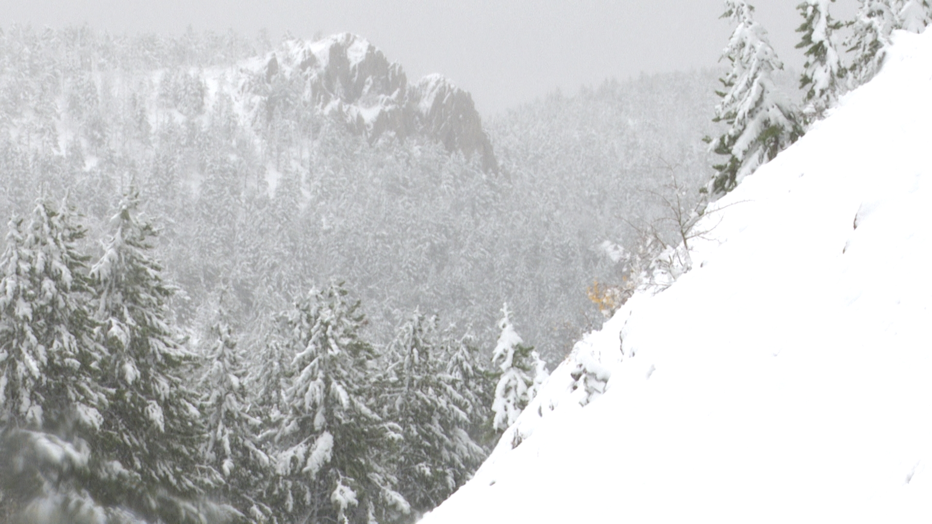 Red Lodge Snow_2.10.1.jpg