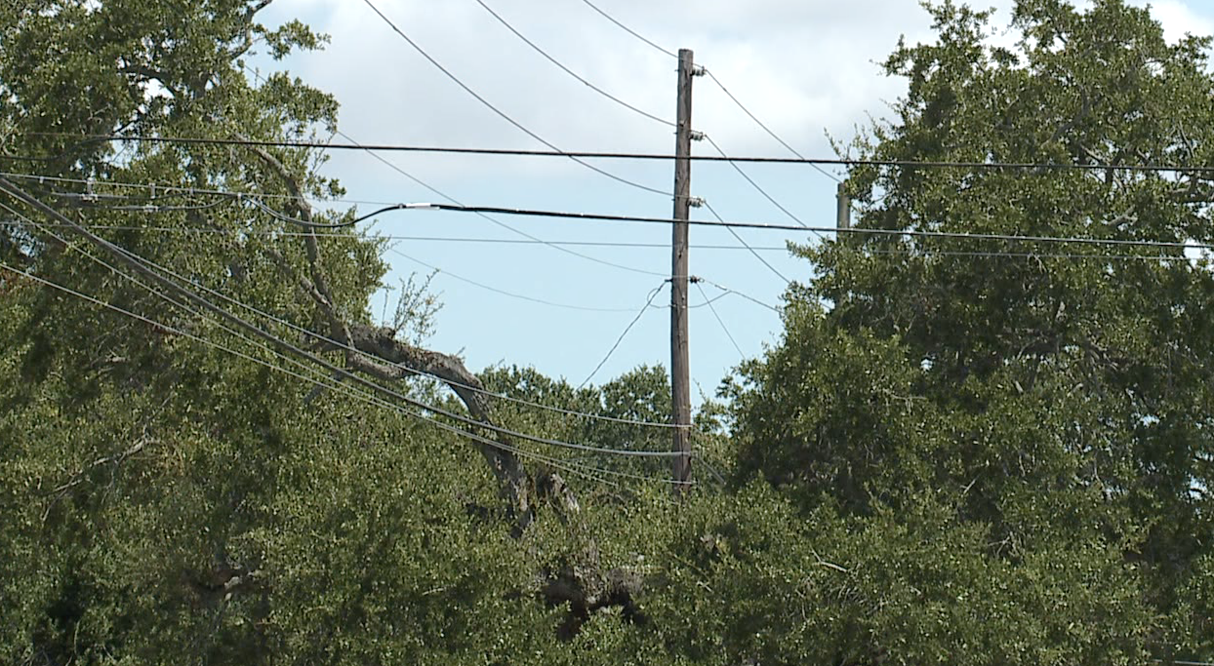 Screen Shot 2023-08-03 at 4.29.22 PM.png