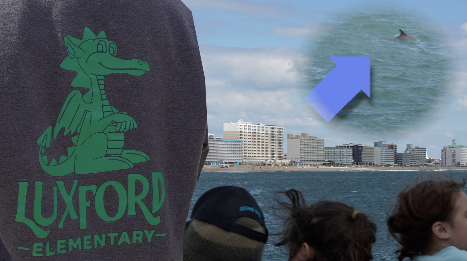 Anonymous donor sends Virginia Beach students on first dolphin tour field trip