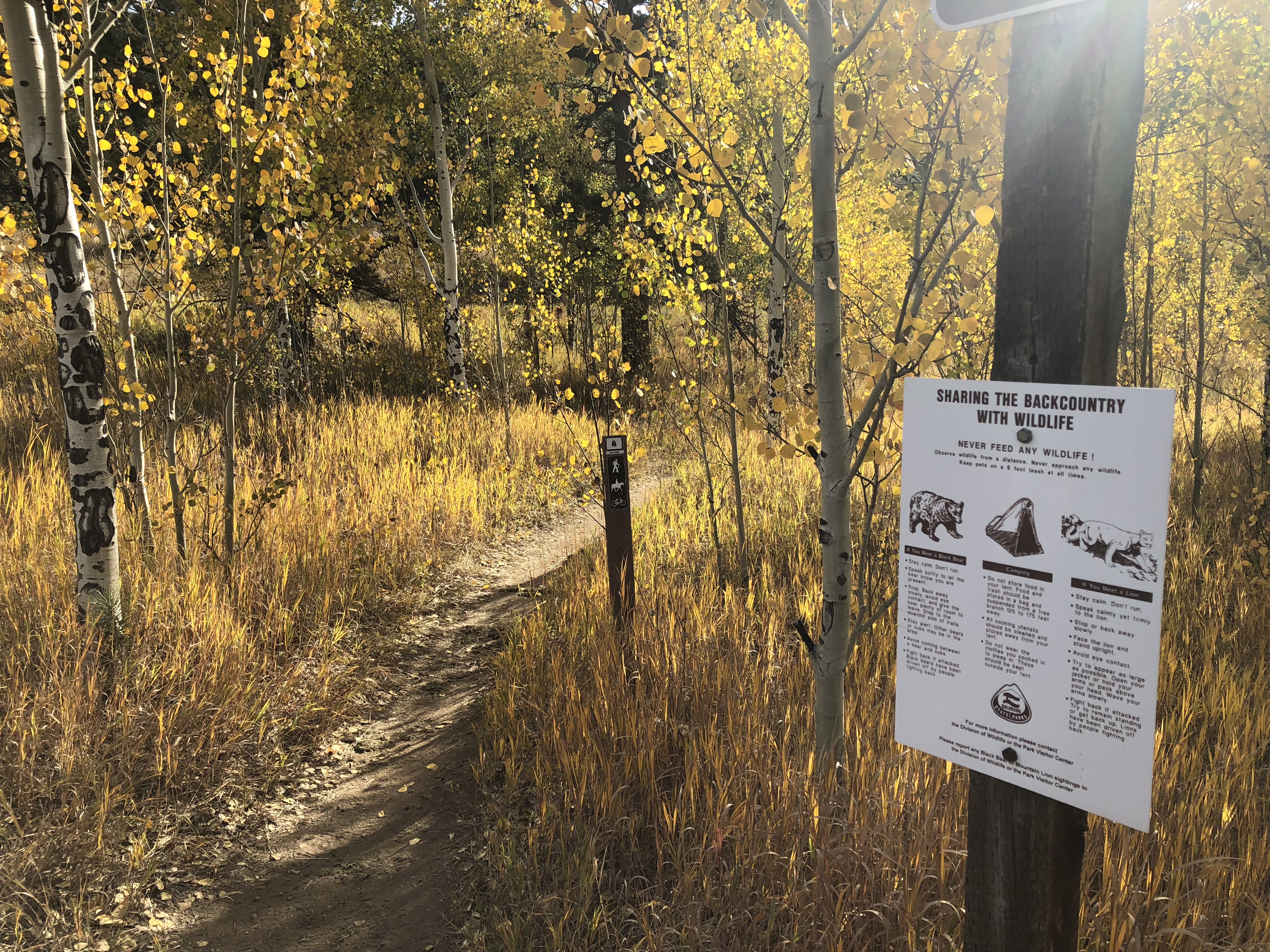 Golden Gate Canyon State Park with yellow aspens and wildlife warning sign SButzer