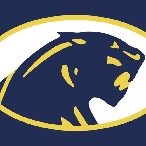 dewitt high school