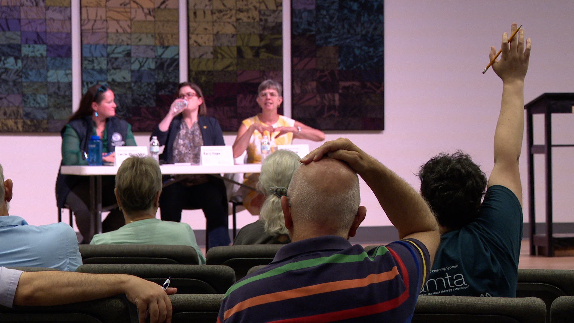 Democrat Town Hall Lansing 