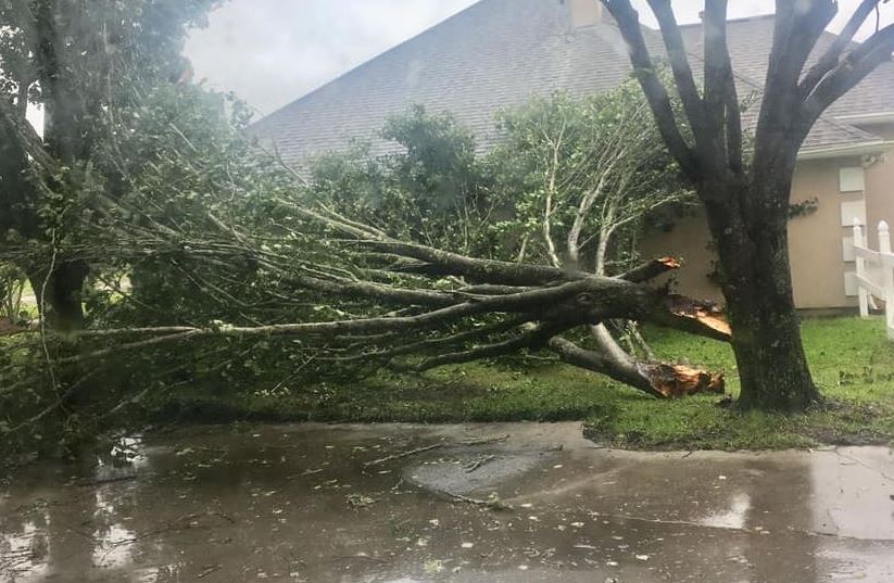 Hurricane debris 