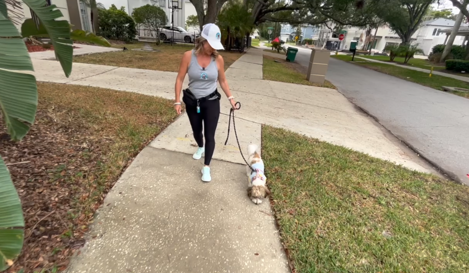 dog walking 2.png