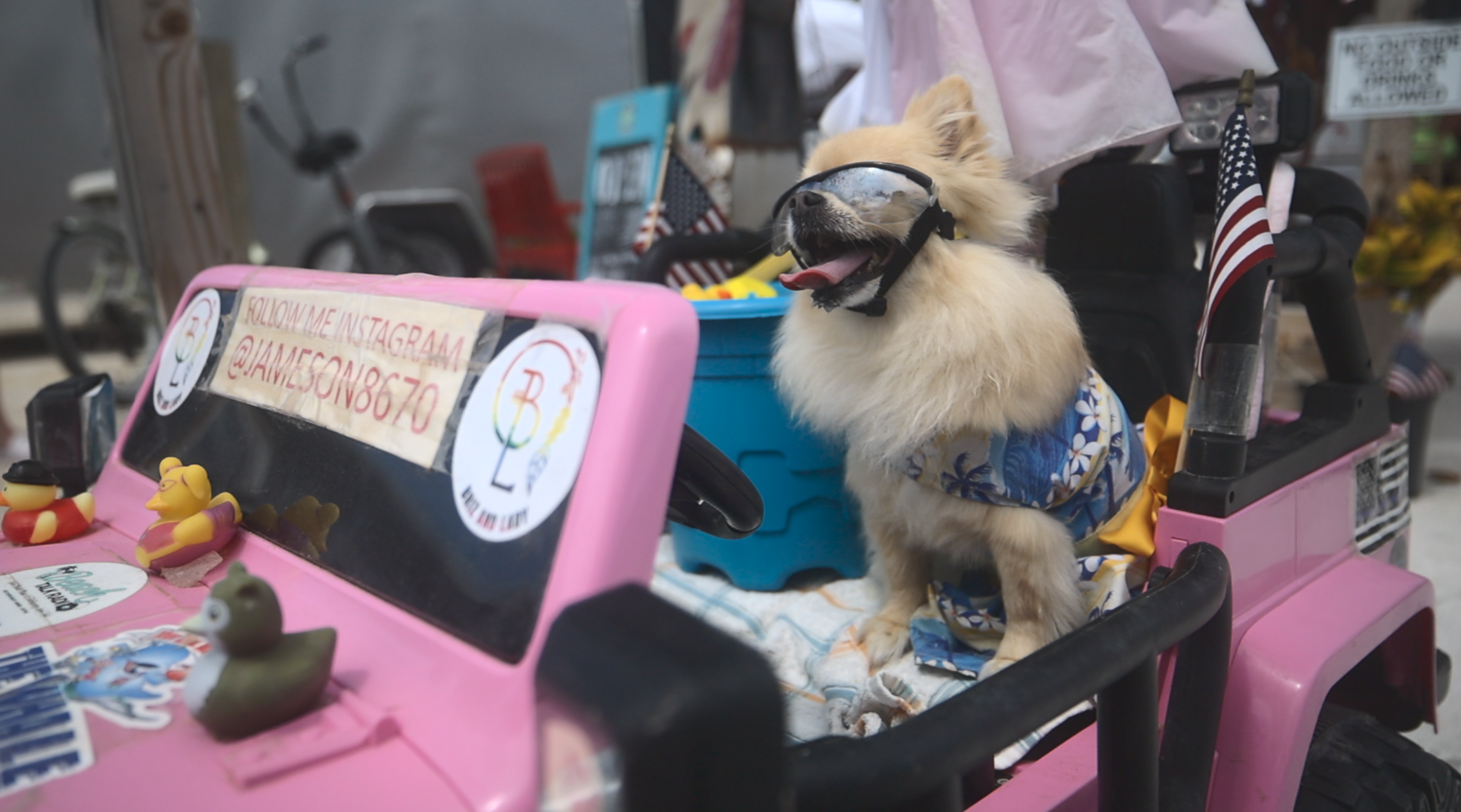 Jameson in her pink Jeep