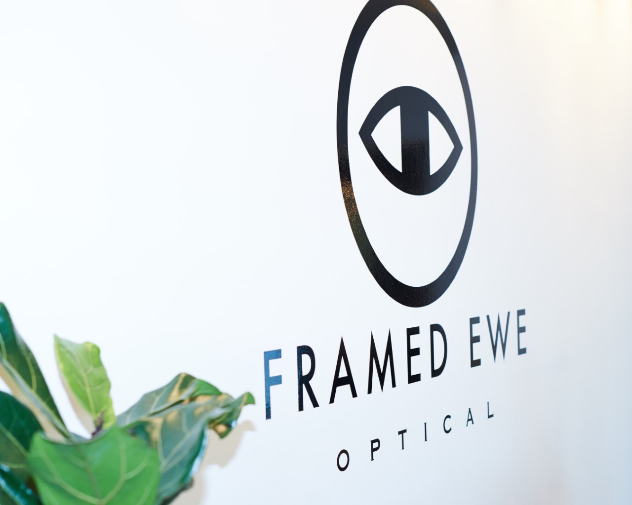 thumbnail_framedewecolony05.jpg