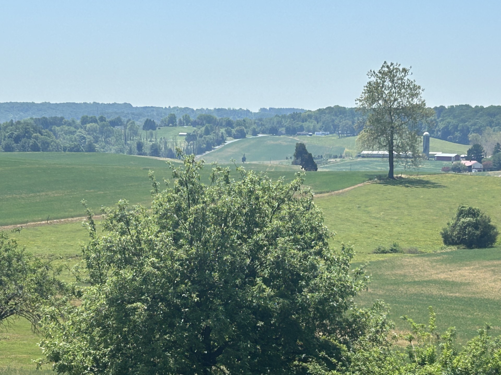 Opposing solar farm in Jarrettsville