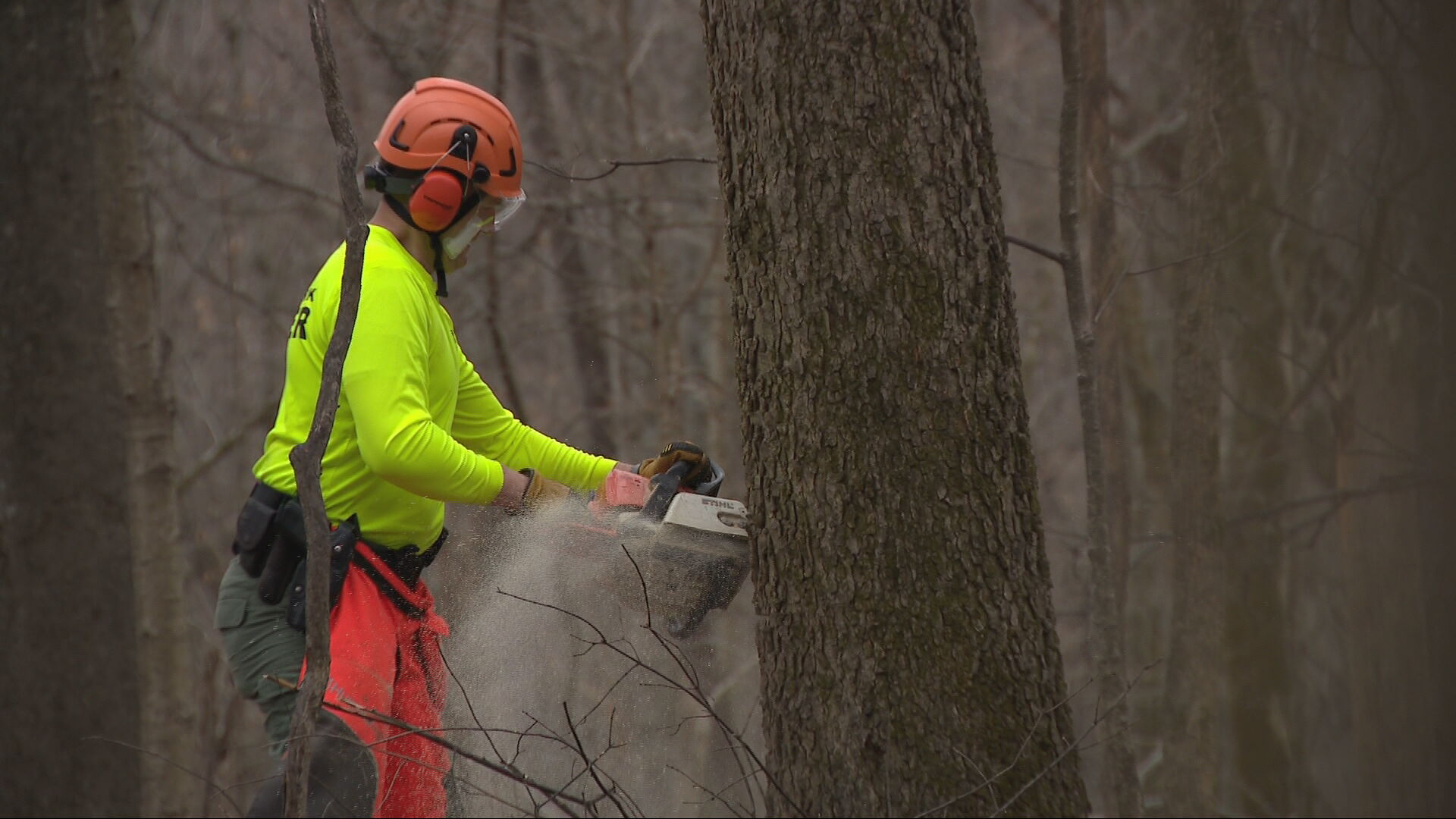 Radnor Lake Recovery Efforts