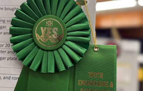 41st Youth Engineering Science Fair encourages students to show creativity through science 