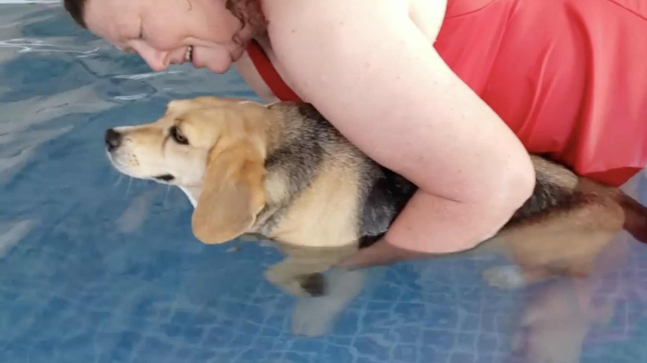 Water therapy for dogs