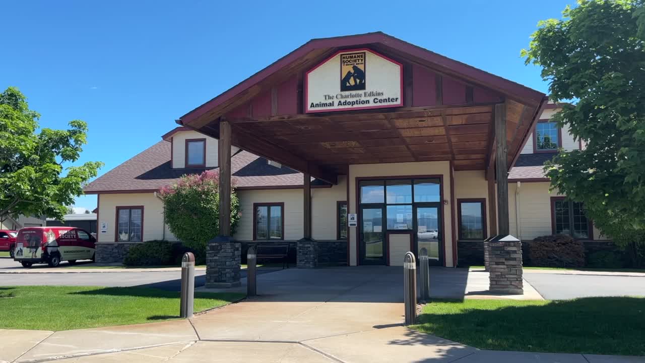 Humane Socity of Northwest Montana 