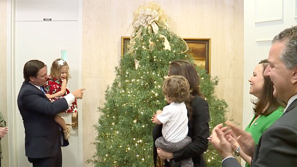 wptv-florida-christmas-trees-.jpg