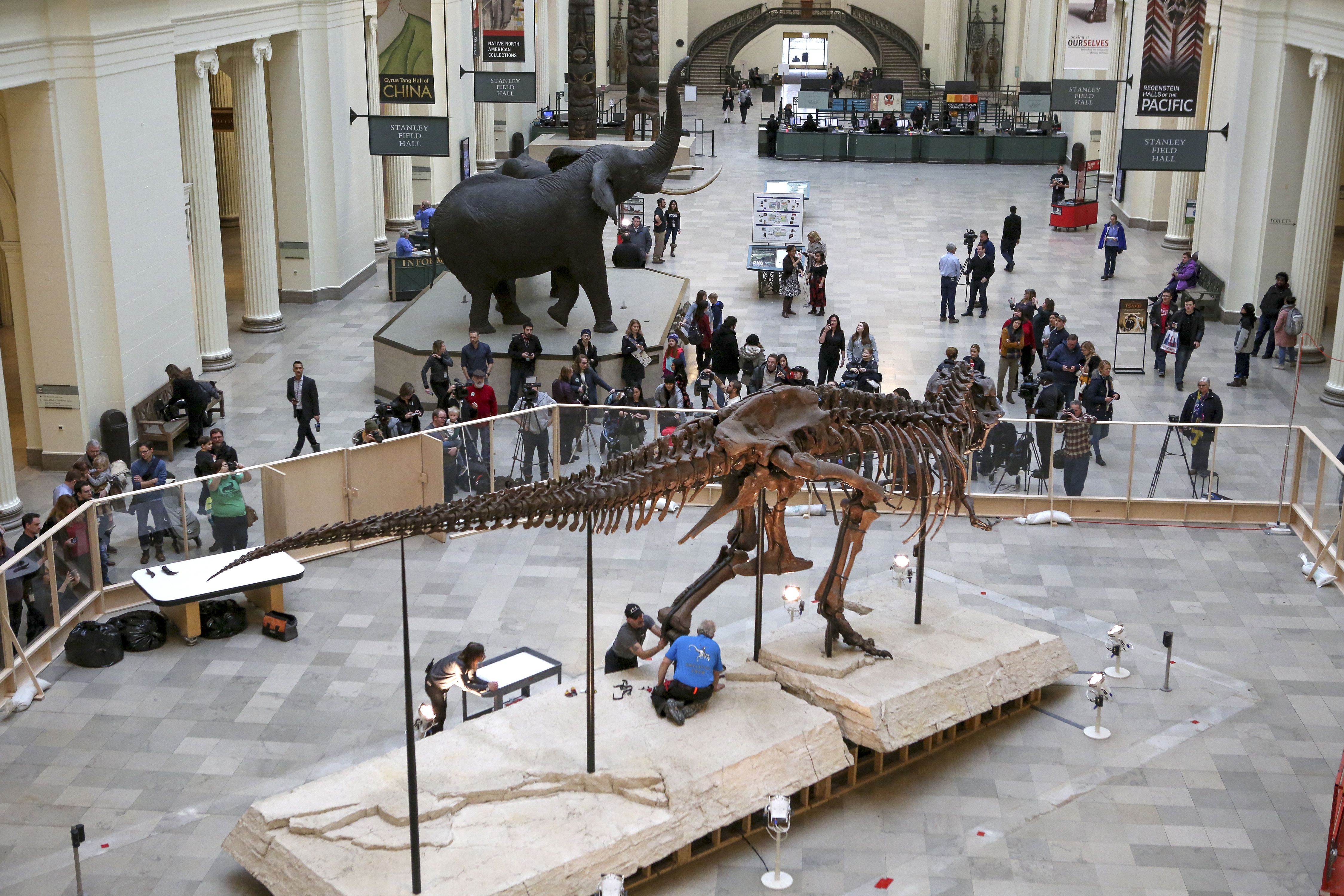 Field Museum Chicago