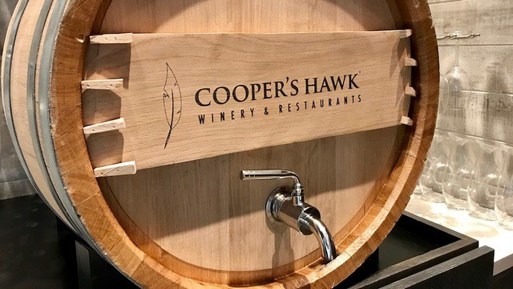 WPTV-COOPERS-HAWK.jpg