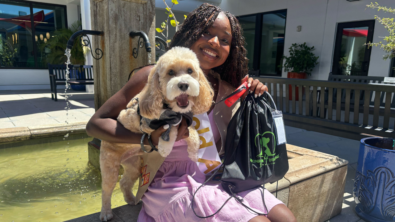 dog hurricane kits.png