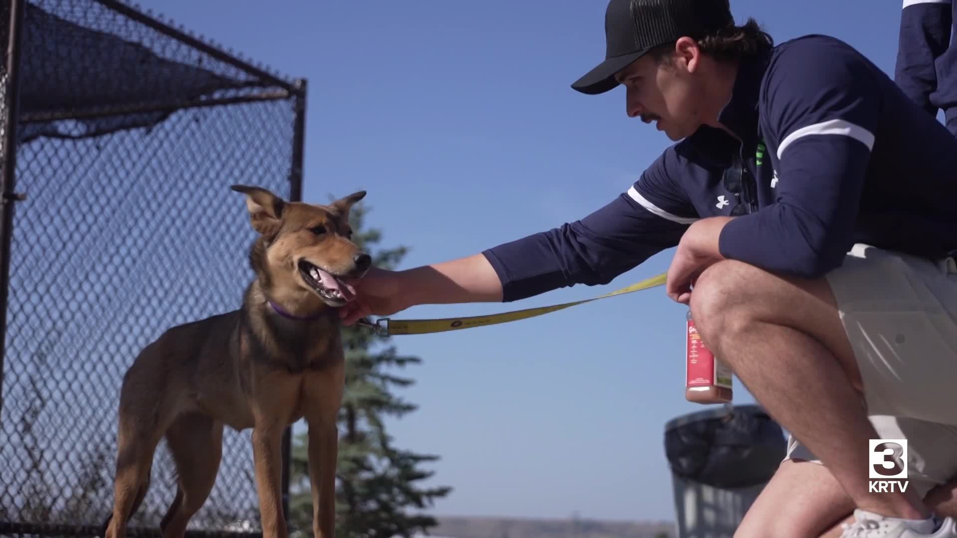 Providence students lend a hand at animal adoption center
