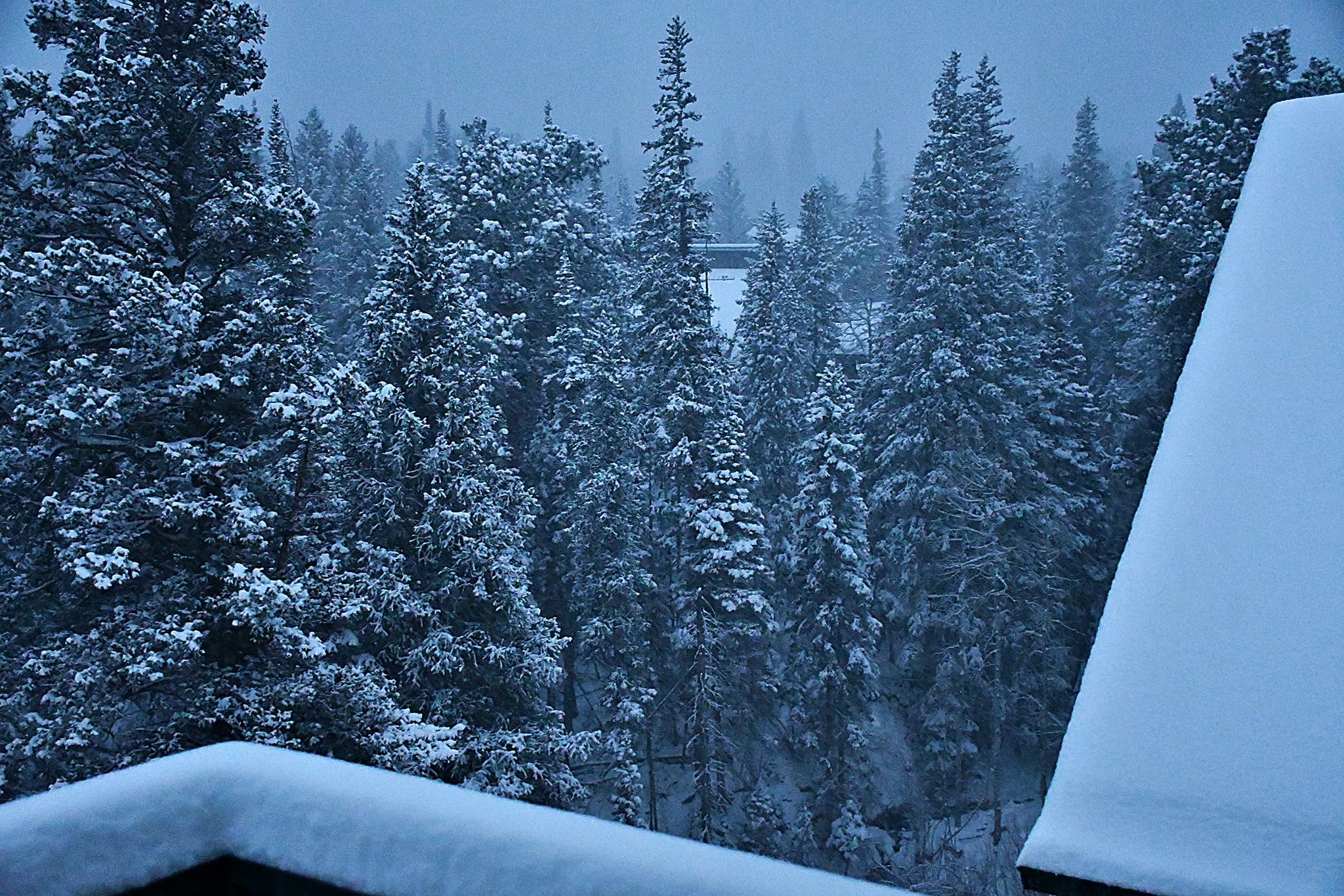 Allenspark_snow_Nov 24 2020