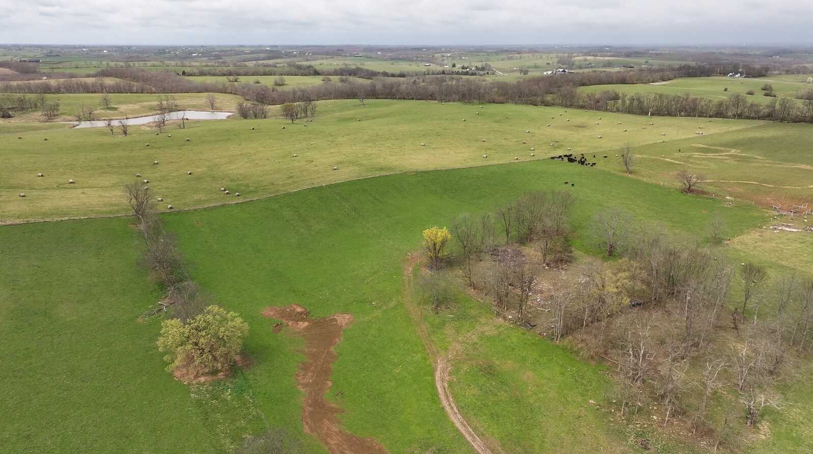 Bourbon County farm