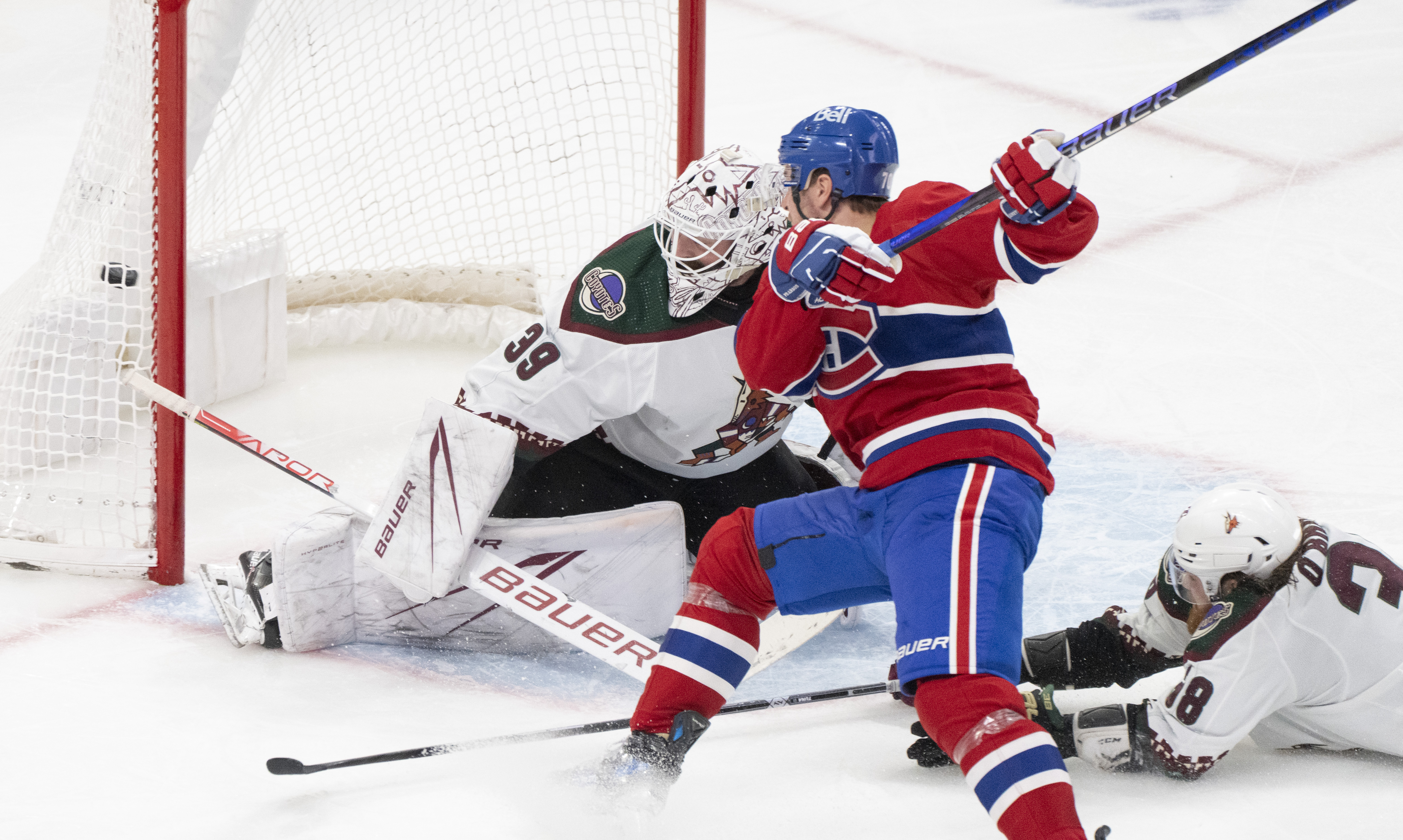 Coyotes Canadiens Hockey