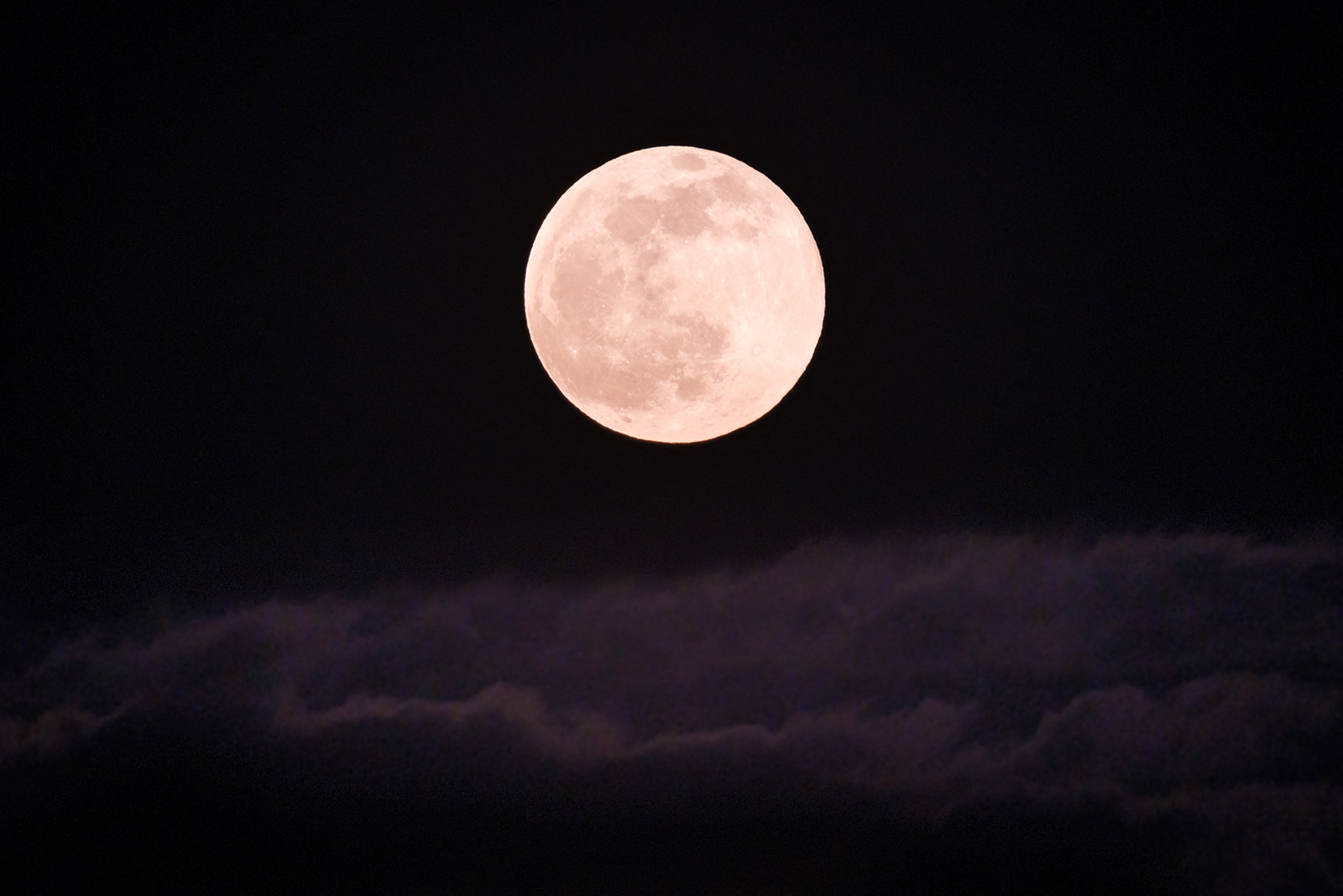 Pink Moon - Toulouse, France - 16 Apr 2022