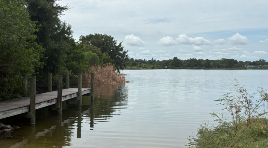Safety Harbor plans to move 4th of July Fireworks to protect wildlife