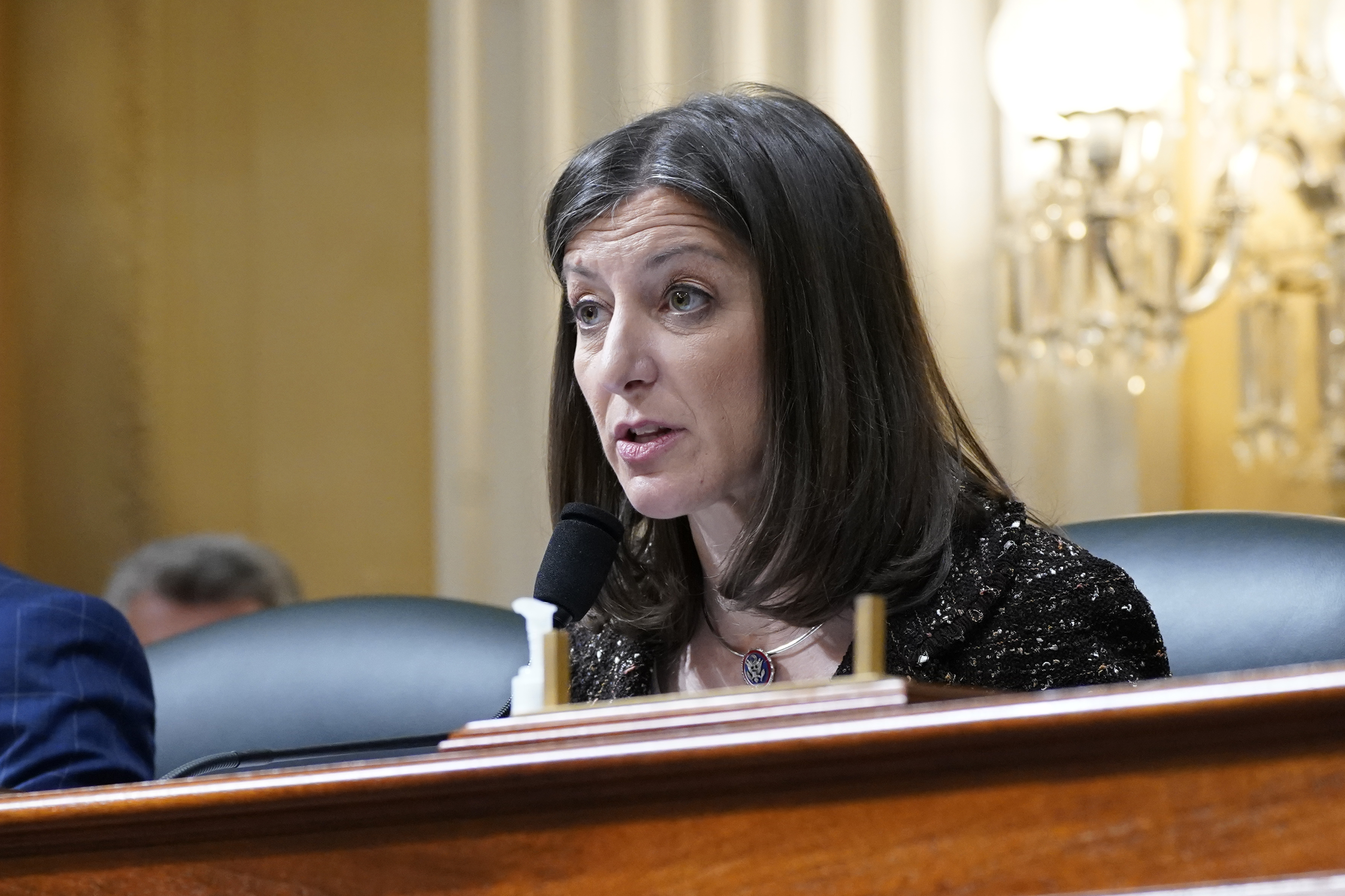 Capitol Riot Investigation