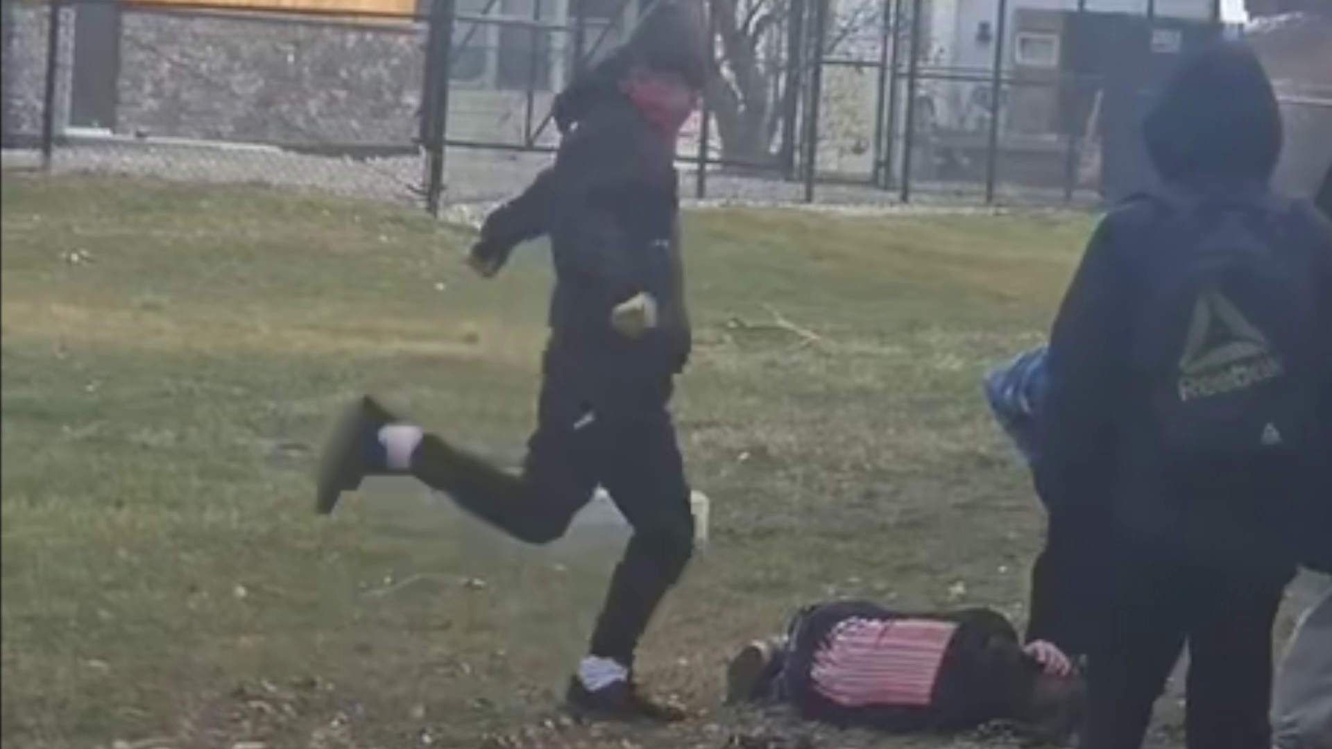 Four juveniles charged after assault at Belgrade park  