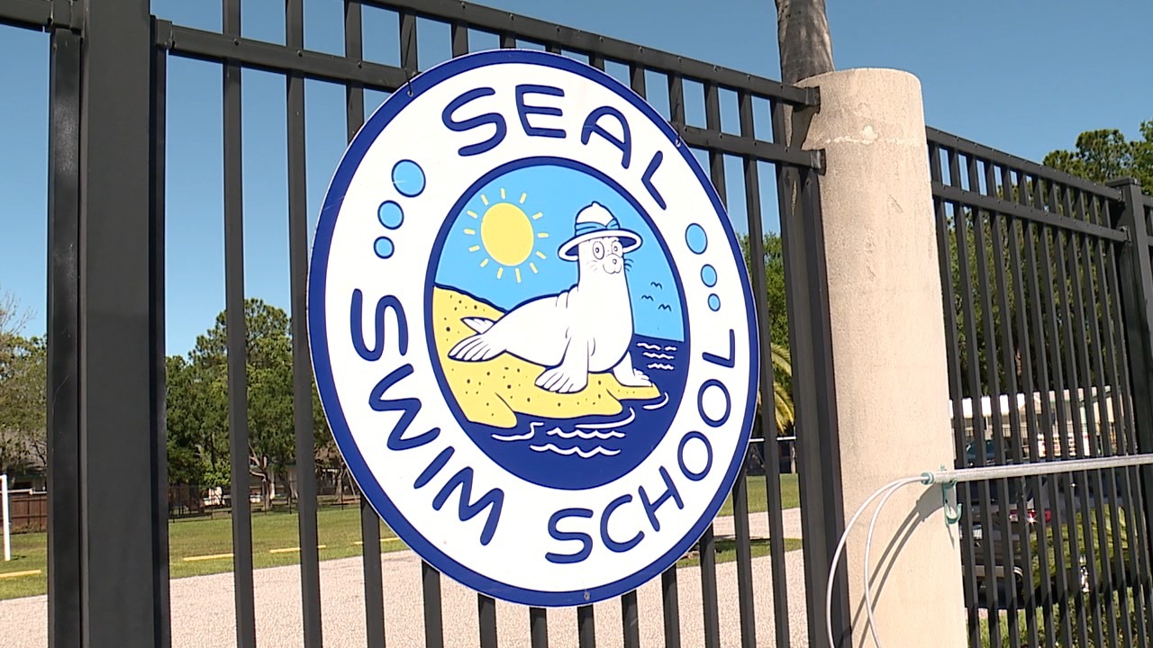 Seal Swim School Logo