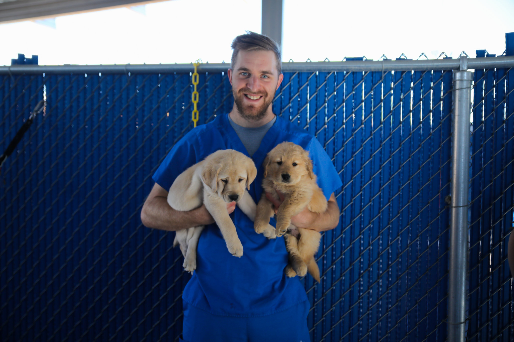 Devon Toews with Freedom Service Dogs