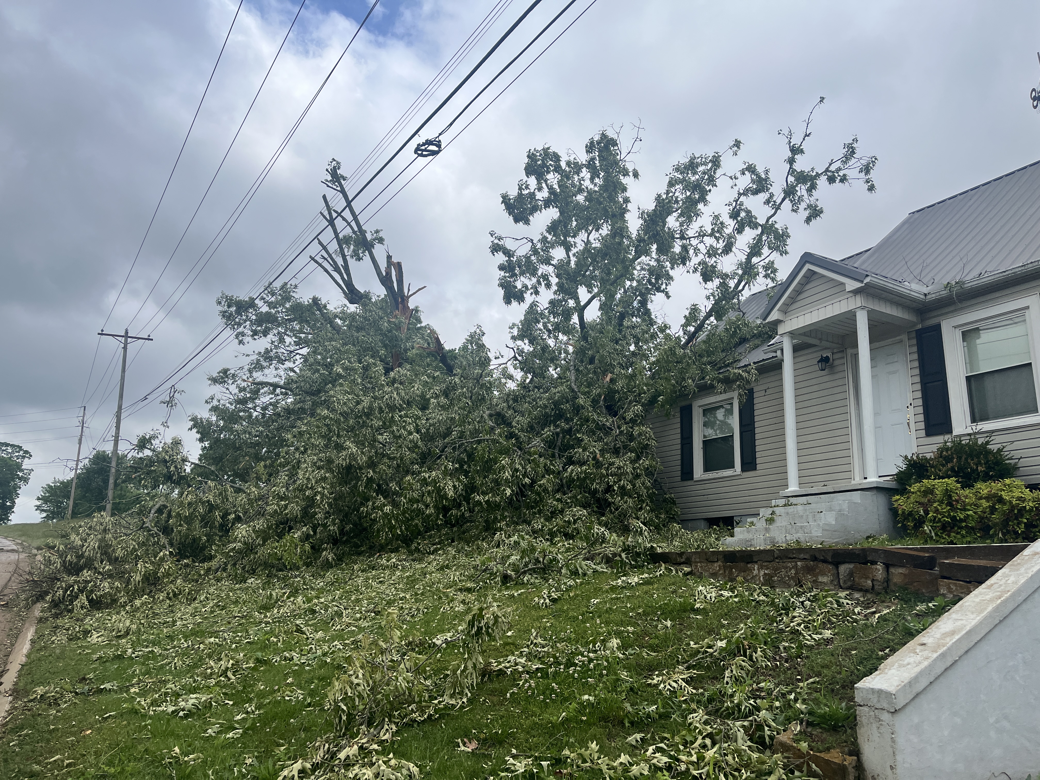 Lawrence County tree damage