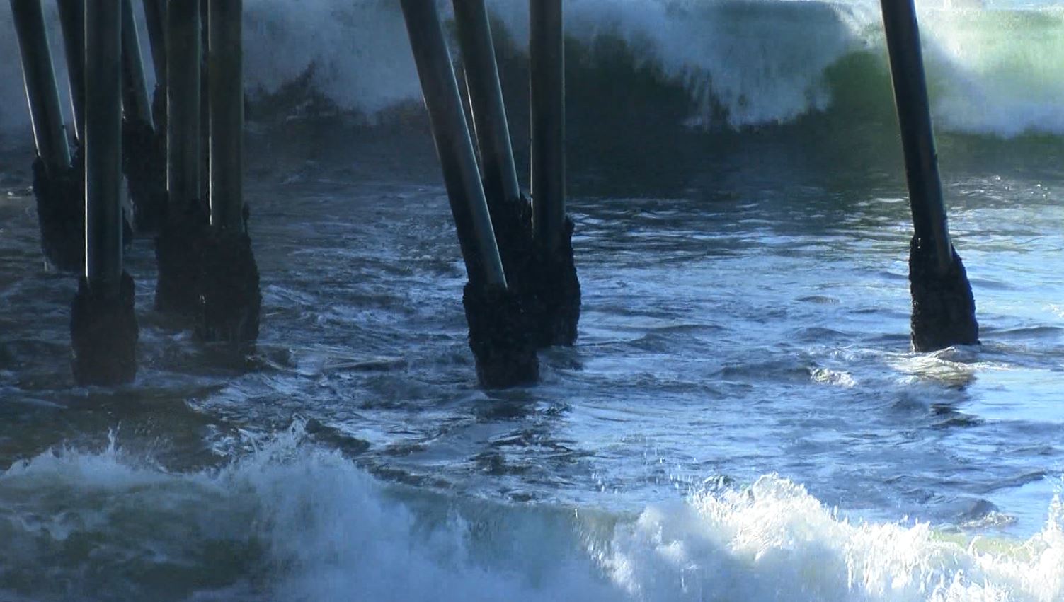 King Tides.JPG