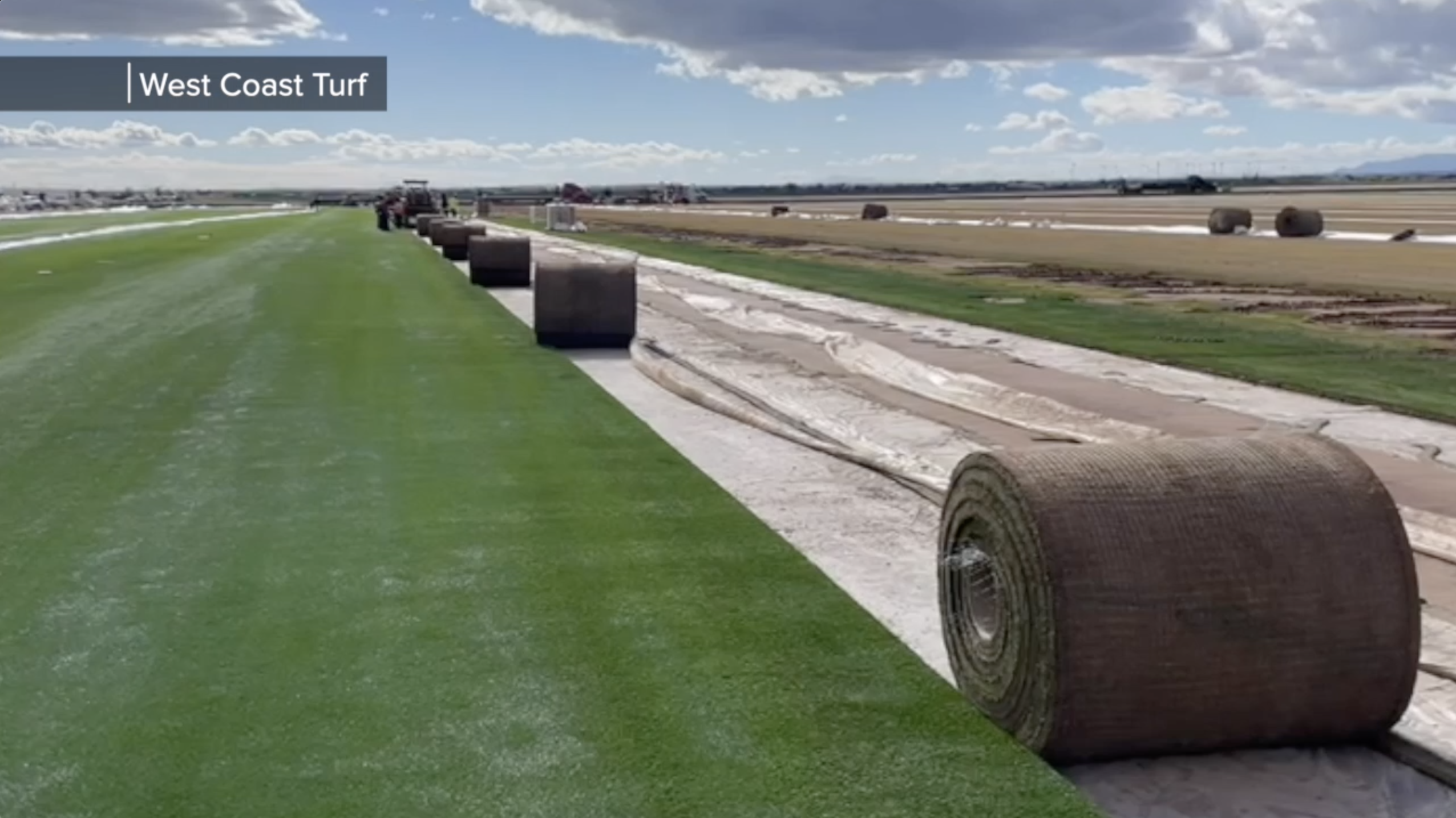 Super Bowl grass.png