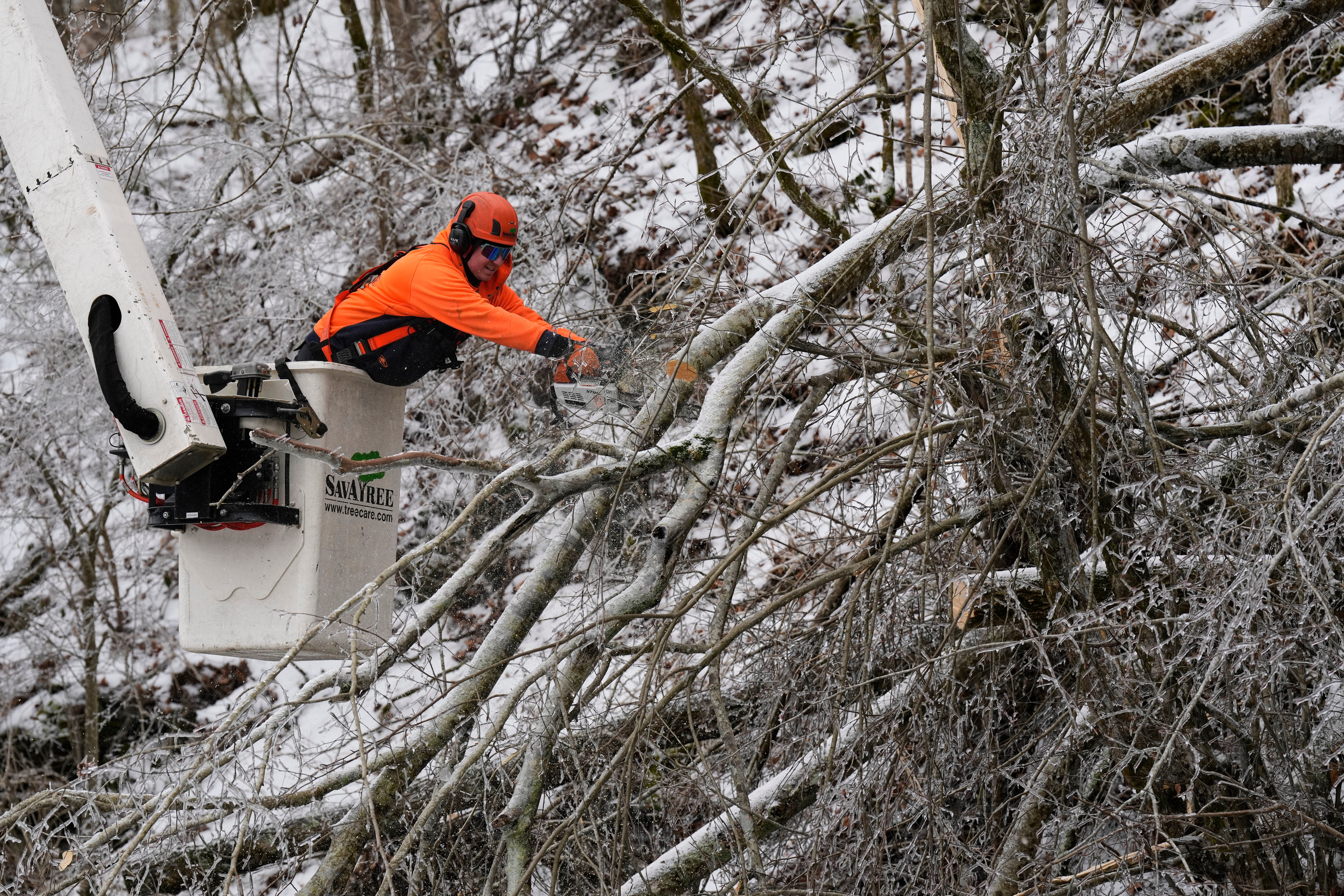 Austin Bradbury uses a chainsaw to remove a tree above a road Friday, Jan. 30, 2026, in Nashville, Tenn. 