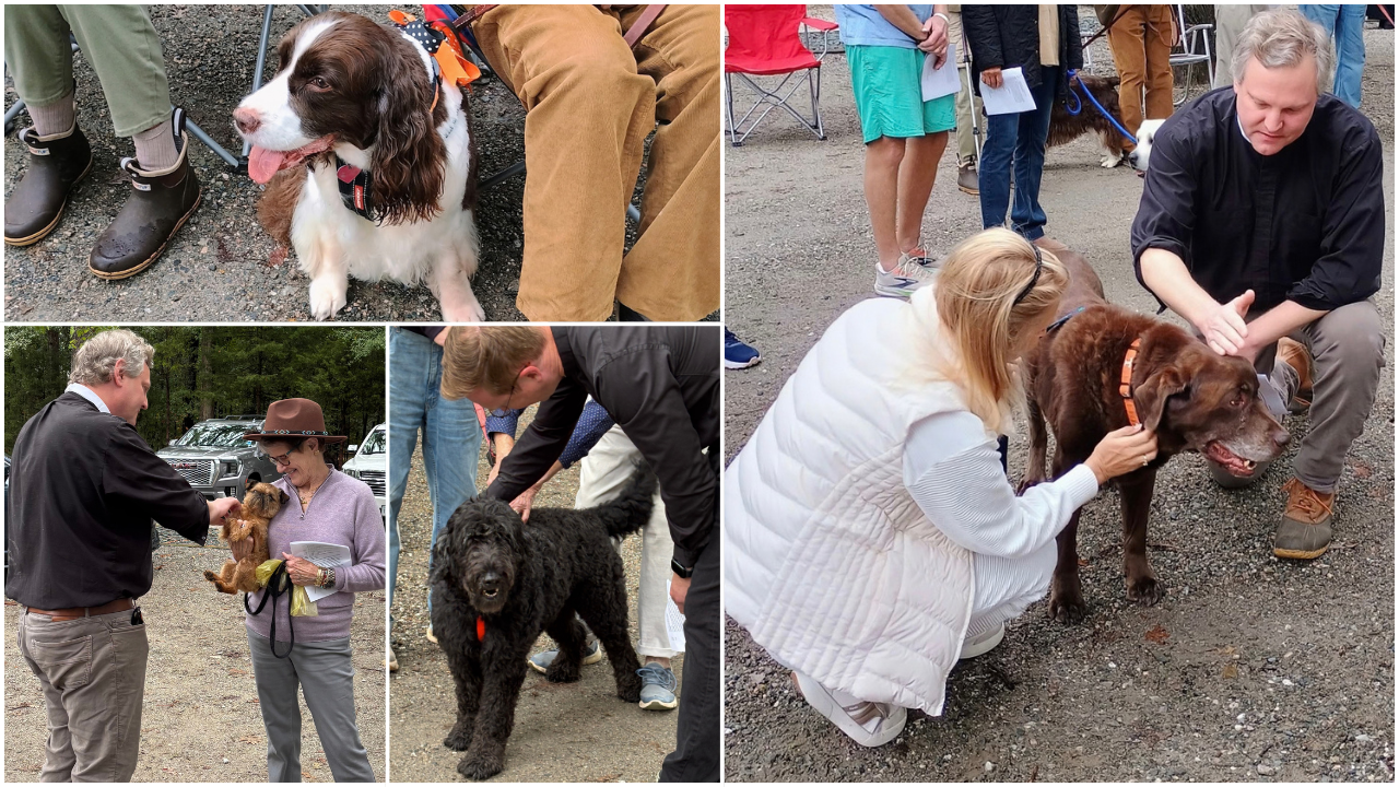 Dogs, cats, horses and more get blessed at Richmond-area churches